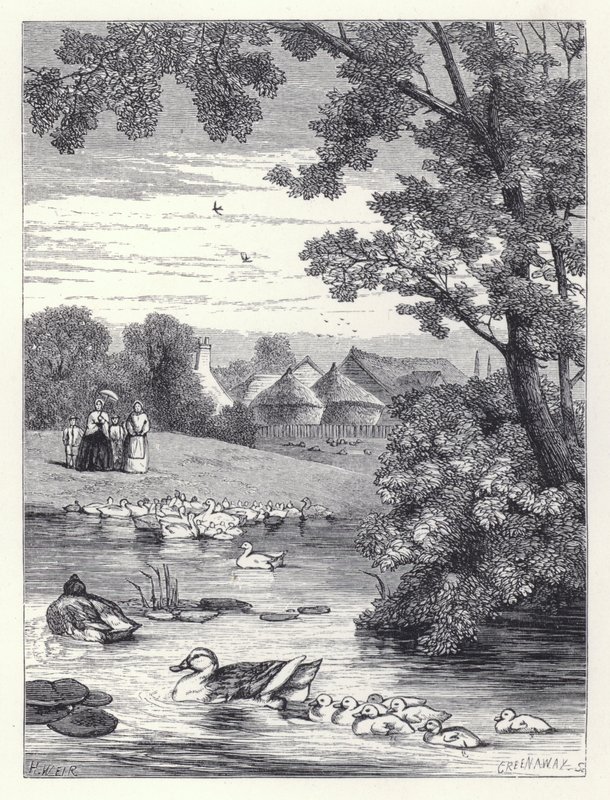 O Lago de Pato (gravura) de Harrison William Weir