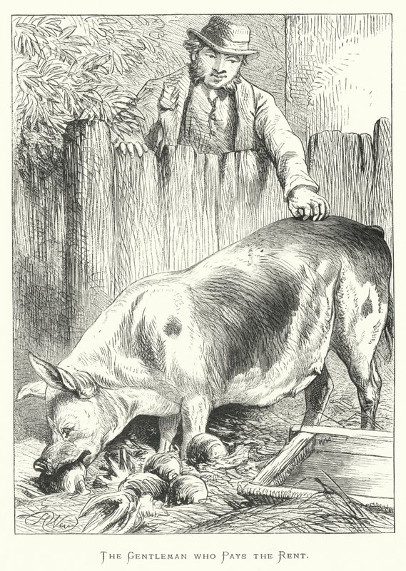 O cavalheiro que paga o aluguel de Harrison William Weir