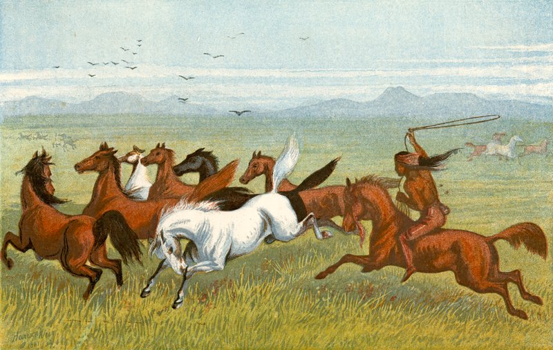 O cavalo - "os abetos" de Harrison William Weir
