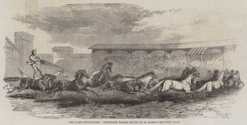 O Hipódromo de Paris, Seventeen Horses dirigido por M Martin de Harrison William Weir