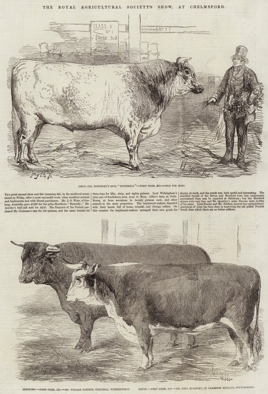 Show da Royal Agricultural Society, em Chelmsford de Harrison William Weir