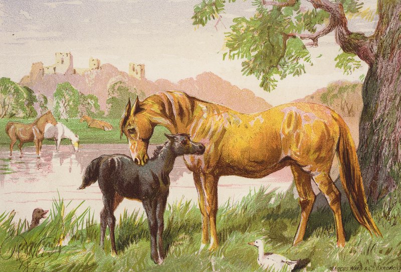 O castelo em ruínas (litografia a cores) de Harrison William Weir