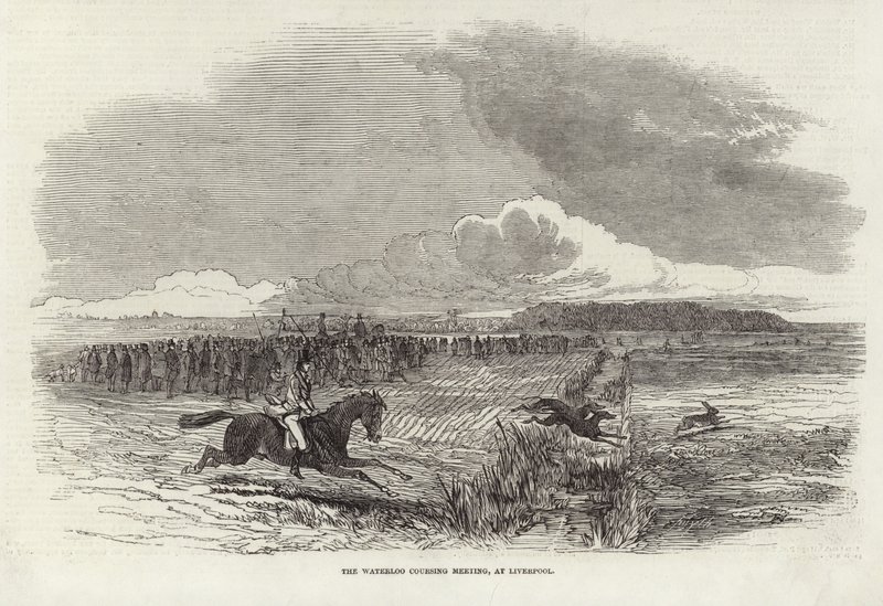 A Reunião de Cursos de Waterloo de Harrison William Weir