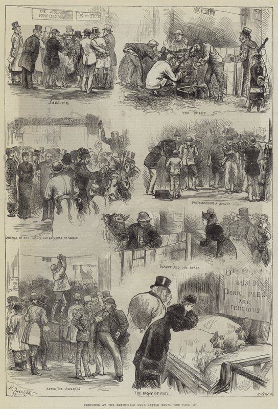 Esboços no Smithfield Club Cattle Show de Harry Furniss