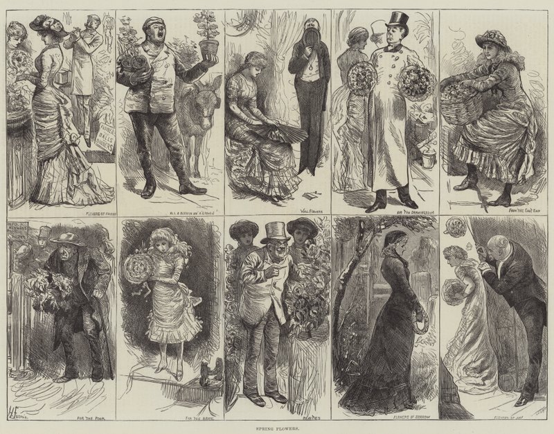 Flores da primavera de Harry Furniss