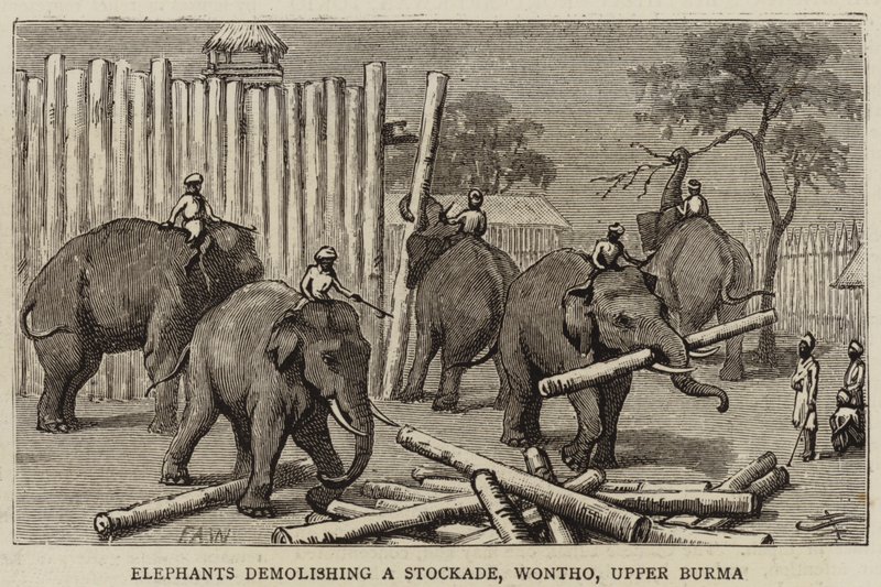 Elefantes demolindo uma paliçada, Wontho, Upper Burma de Harry Hamilton Johnston