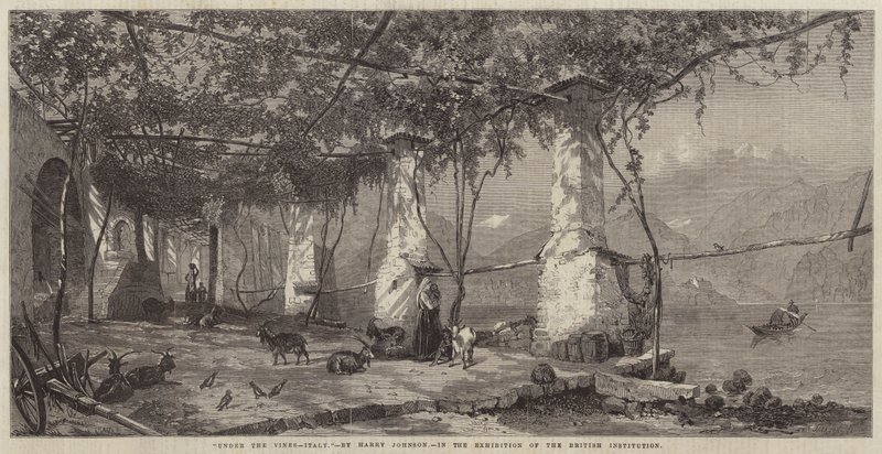 Sob as videiras, a Itália de Harry John Johnson
