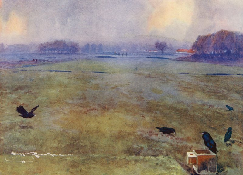 Campos de golfe: Mid-Surrey, o décimo buraco (litografia a cores) de Harry (1878 1950) Rountree