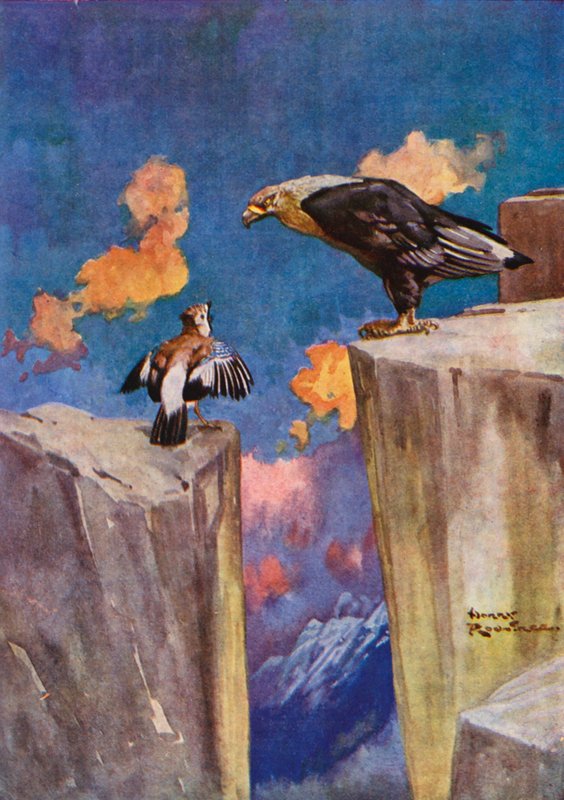 O Jay e o Rouxinol (cor litho) de Harry Rountree