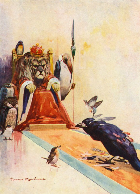 O Vaidoso Jackdaw (cor litho) de Harry Rountree