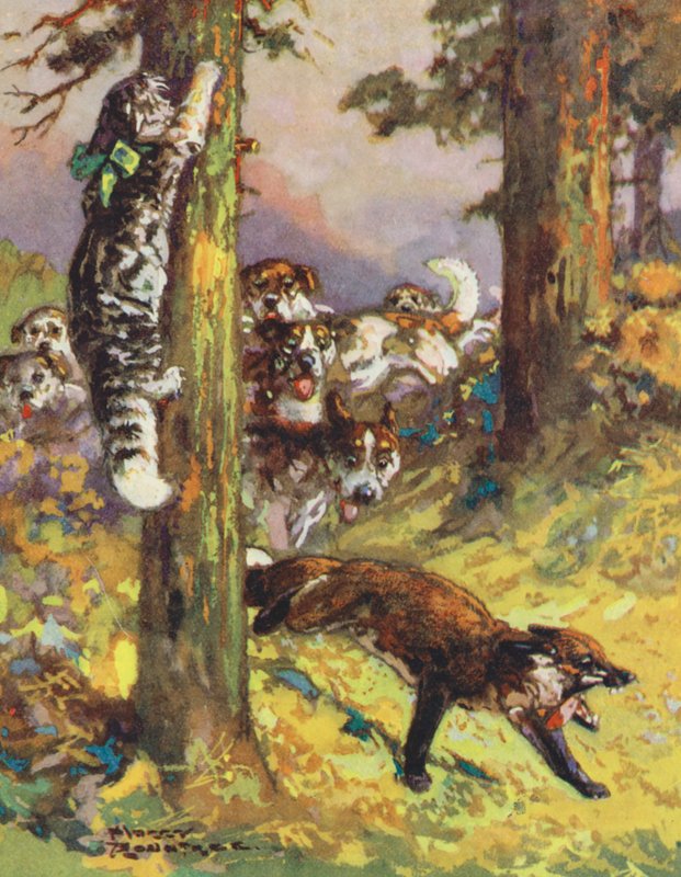 Fábulas de Esopo: O Gato e a Raposa (litografia a cores) de Harry (1878 1950) Rountree
