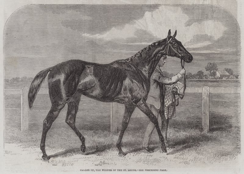 Caller Ou, o vencedor do St Leger de Harry Hall