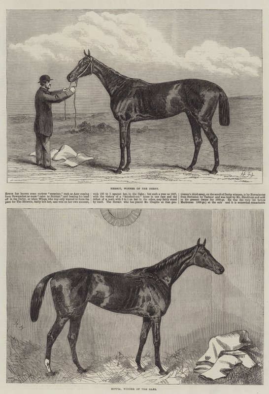 Cavalo de corrida de Harry Hall
