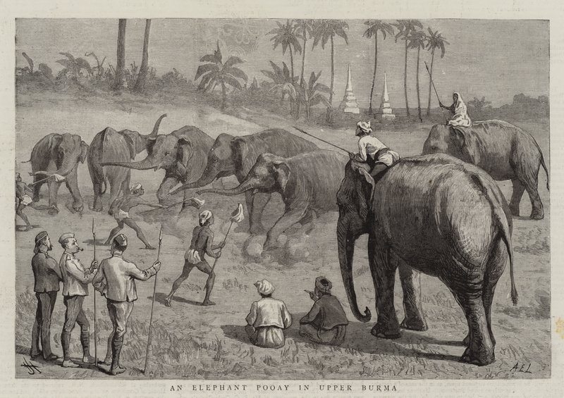 Um elefante Pooay na Alta Birmânia de Harry Hamilton Johnston