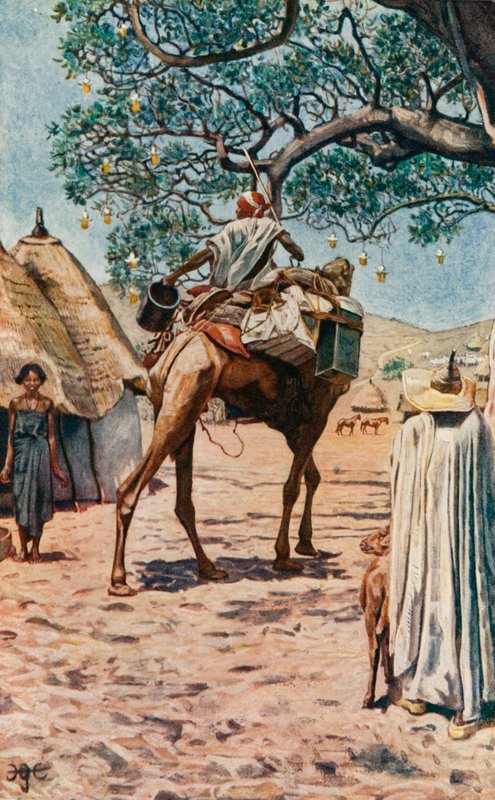 Em Bornu de Harry Hamilton Johnston