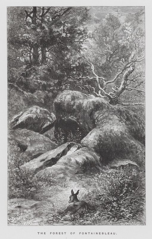 O inseto: A Floresta de Fontainebleau (gravura) de Hector Giacomelli
