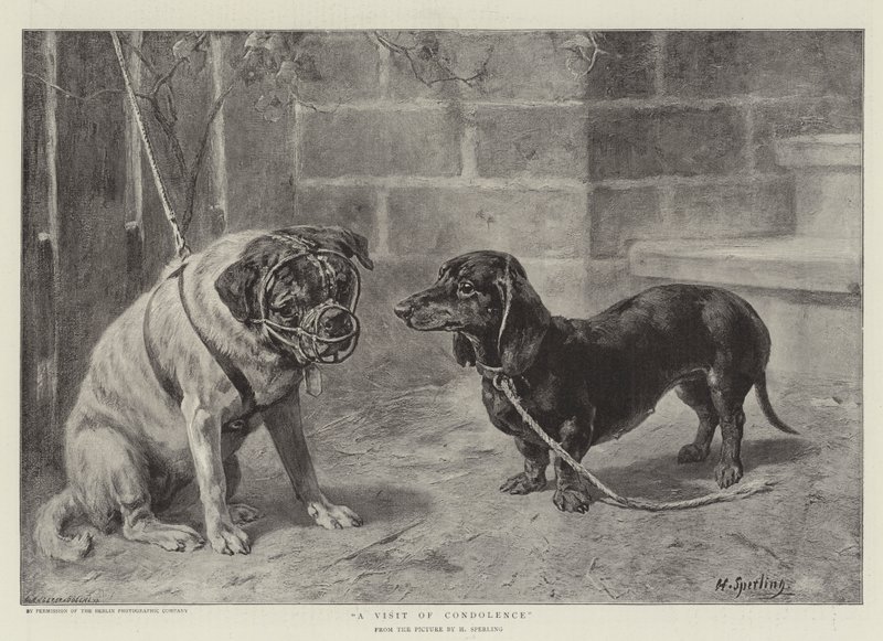 Uma visita de gravura de condolências de Heinrich Sperling