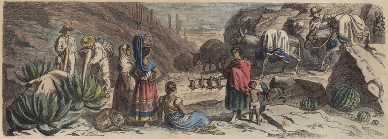 Uma estrada de montanha no México (gravura colorida) de Heinrich Leutemann