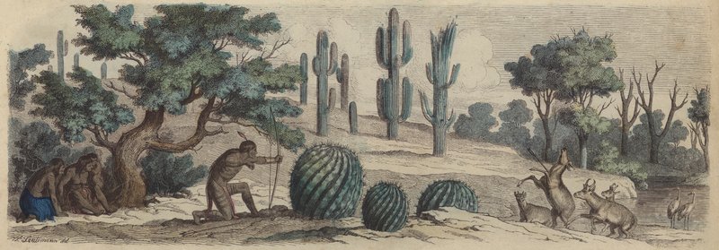 Colorado (gravura colorida) de Heinrich Leutemann