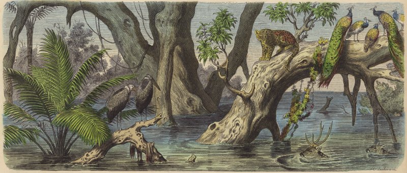 Inundações no leste da Índia (gravura colorida) de Heinrich Leutemann