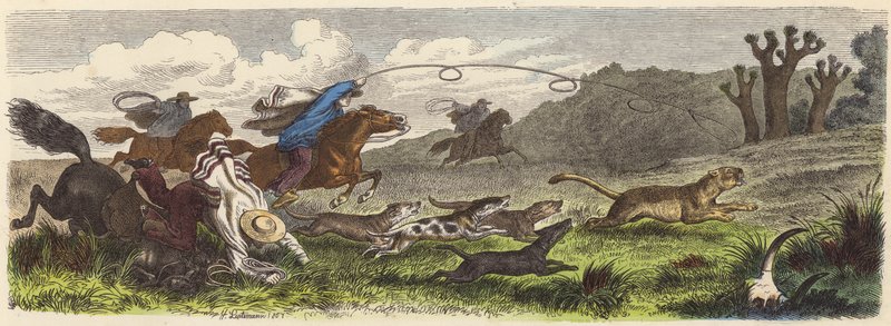 Caça ao puma com lassos no Brasil (gravura colorida) de Heinrich Leutemann