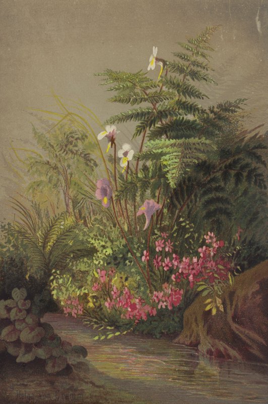Flores ao lado de um riacho de Helga von Cramm