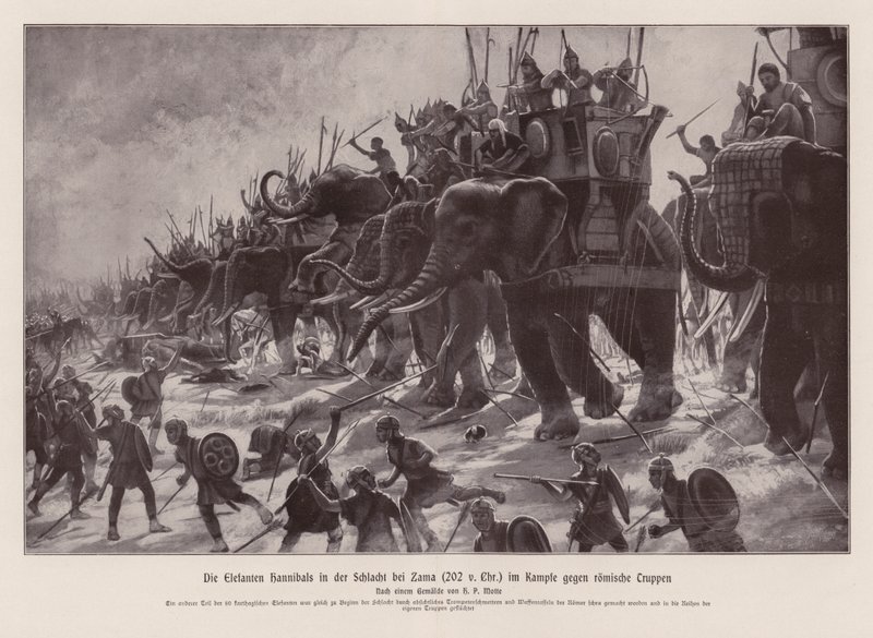 Os elefantes de Aníbal na batalha de Zama, 202 a.C. (litografia) de Henri Paul (after) Motte