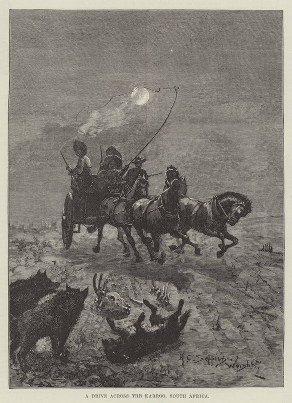 Uma viagem através do Karroo, África do Sul de Henry Charles Seppings Wright