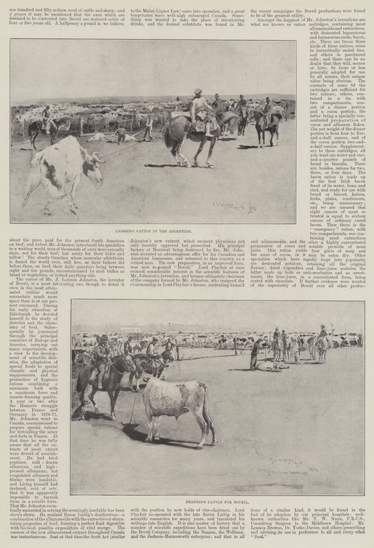 Gado na Argentina de Henry Charles Seppings Wright