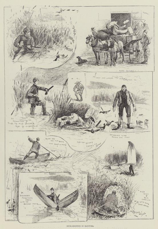 Pato-tiro em Manitoba de Henry Charles Seppings Wright