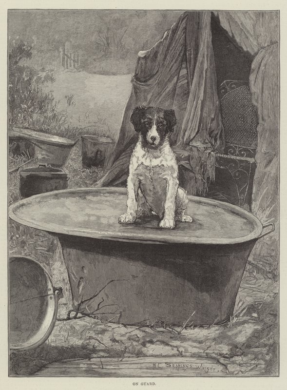 Em guarda de Henry Charles Seppings Wright