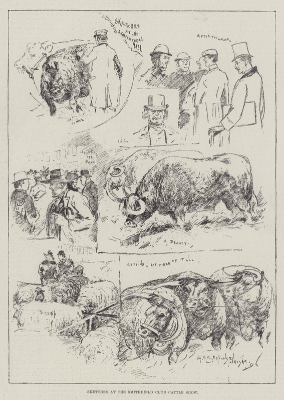 Esboços no Smithfield Club Cattle Show de Henry Charles Seppings Wright
