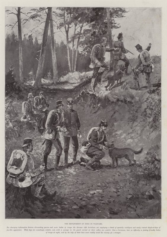 O emprego de cães na guerra de Henry Charles Seppings Wright