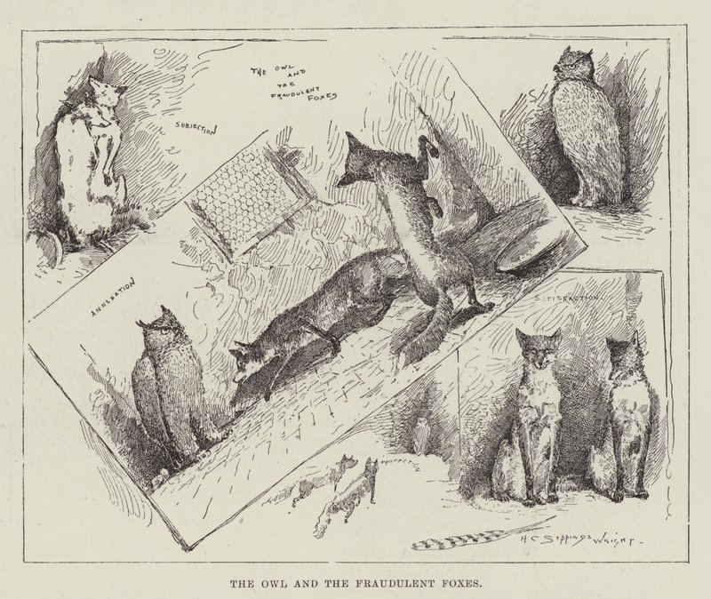A coruja e as raposas fraudulentas de Henry Charles Seppings Wright