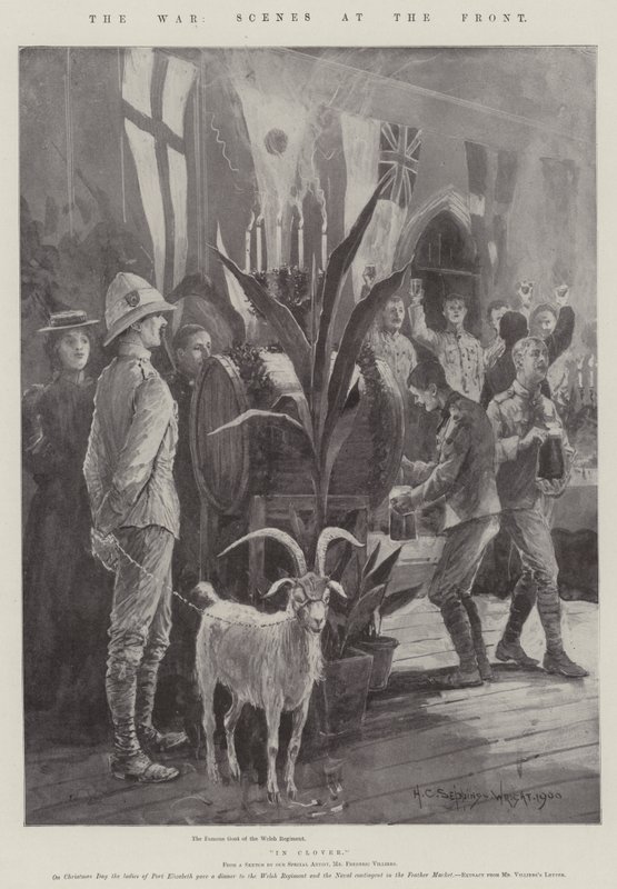 A guerra, cenas na frente de Henry Charles Seppings Wright