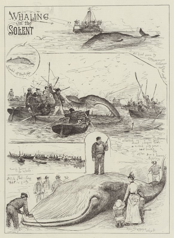 Caça às baleias no Solent de Henry Charles Seppings Wright