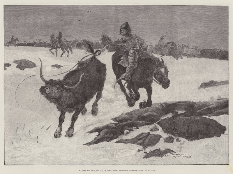 Inverno, ligado, a, planícies, de, manitoba, boiadeiro, perseguindo, boiada, gado de Henry Charles Seppings Wright