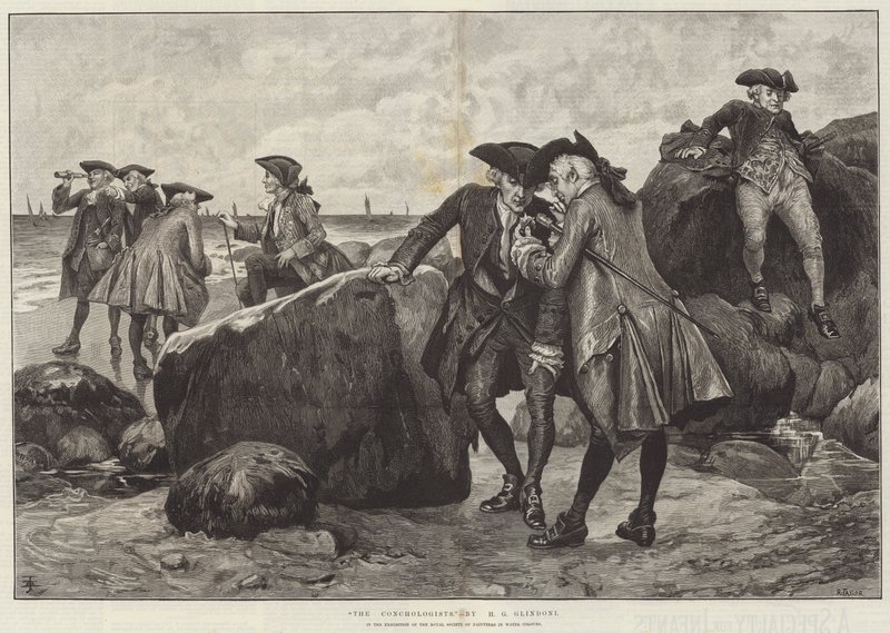 Os Conchologistas de Henry Gillard Glindoni