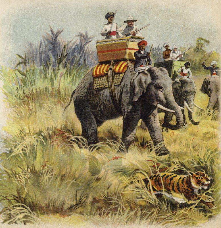 O Príncipe de Gales caça ao tigre na Índia (chromolitho) de Henry Payne