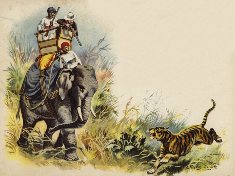O tiro do tigre do Príncipe de Gales durante a turnê real na Índia, 1905 (chromolitho) de Henry Payne