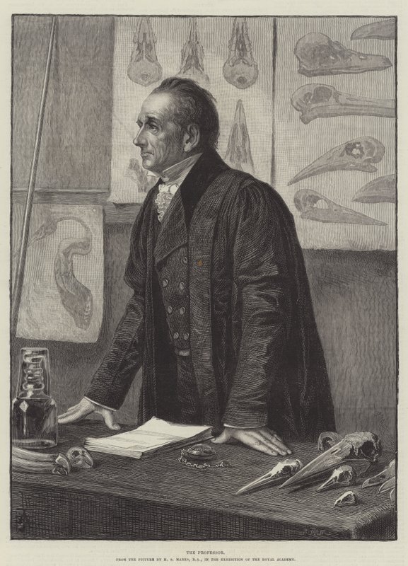 O professor de Henry Stacey Marks