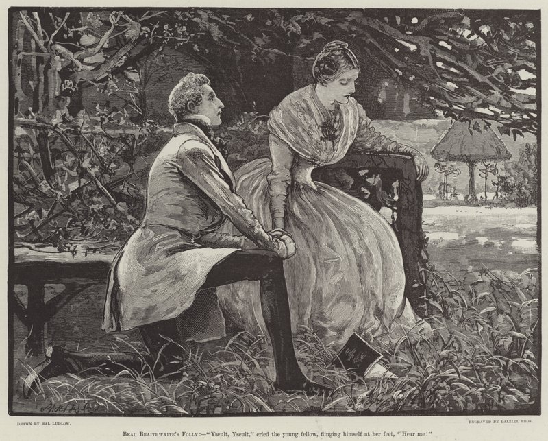 A loucura de Beau Braithwaite de Henry Stephen Ludlow