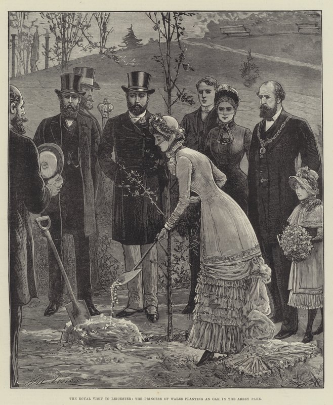 A visita real a Leicester, a princesa de Gales, plantando um carvalho no Abbey Park de Henry Stephen Ludlow