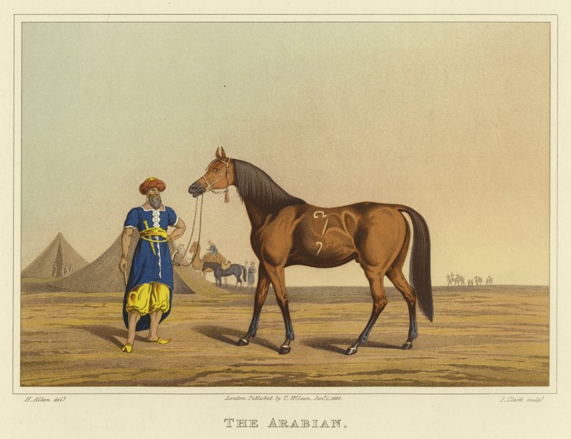 Árabe (cromolito) de Henry Thomas Alken