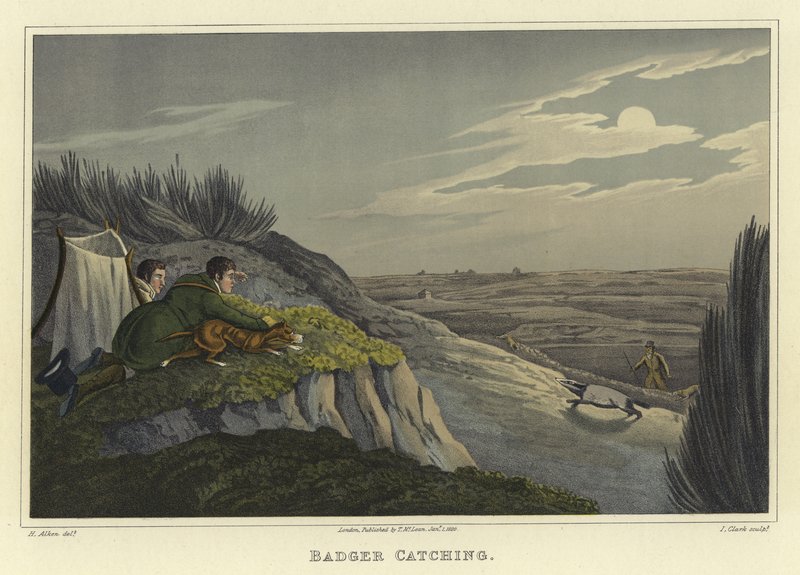 Captura de texugo (chromolitho) de Henry Thomas Alken