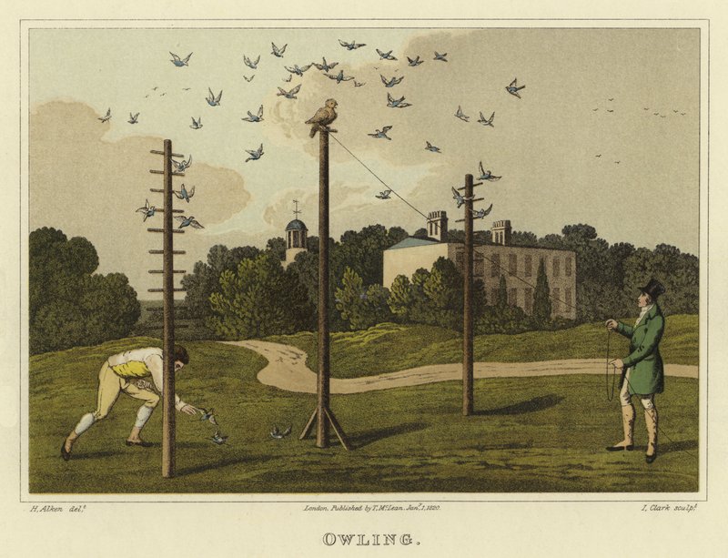 Owling (cromolito) de Henry Thomas Alken