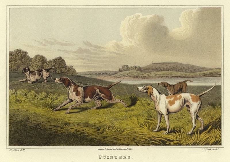 Ponteiros (cromolitho) de Henry Thomas Alken