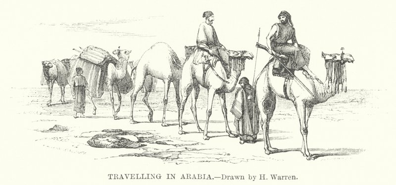 Viajar na Arábia (gravura) de Henry (after) Warren