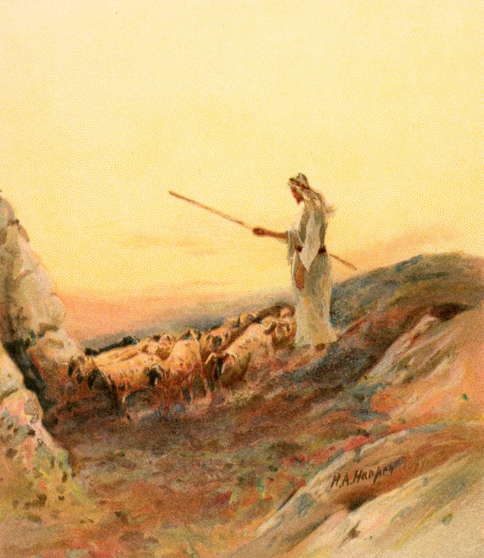 Um, pastor, contando, seu, sheep de Henry Andrew Harper