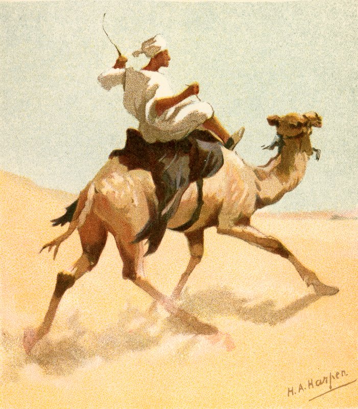 Um carteiro árabe de Henry Andrew Harper